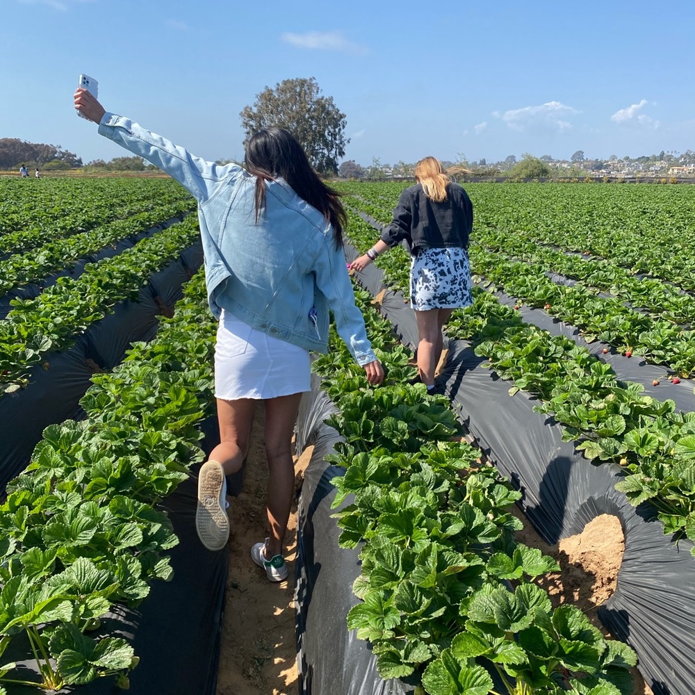 Meet your Posher, Cara